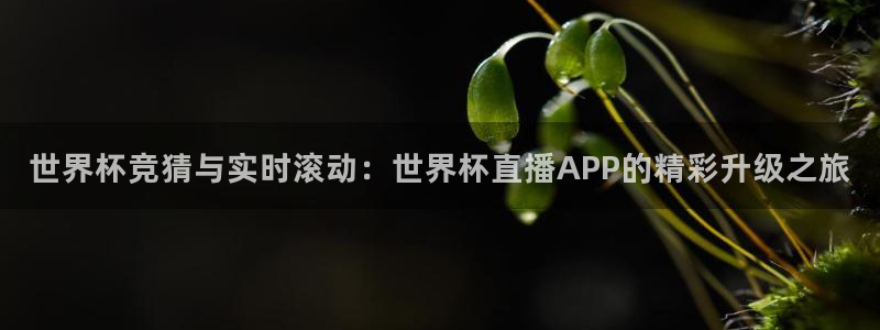 世界杯决赛预测：世界杯竞猜与实时滚动：世界杯直播APP的精彩升级之旅