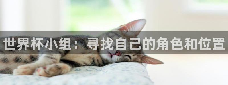 世界杯附加赛赛程表：世界杯小组：寻找自己的角色和位置