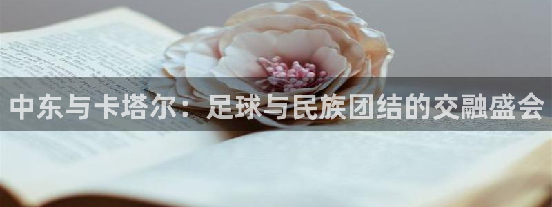 世界杯预选赛欧洲赛区积分榜：中东与卡塔尔：足球与民族团结的交融盛会