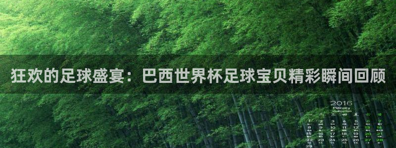 2026世界杯官网入口：狂欢的足球盛宴：巴西世界杯足球宝贝精彩瞬间回顾