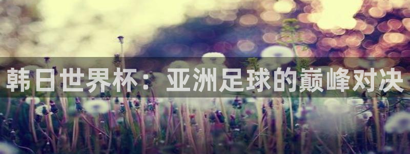 世界杯预选赛亚洲区积分榜：韩日世界杯：亚洲足球的巅峰对决