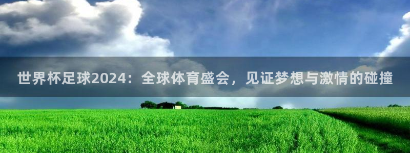 澳门世界杯直播：世界杯足球2024：全球体育盛会，见证梦想与激情的碰撞