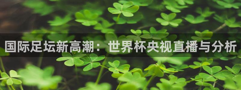 联赛杯直播：国际足坛新高潮：世界杯央视直播与分析