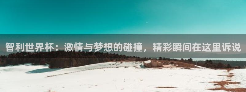 足球世界杯时间：智利世界杯：激情与梦想的碰撞，精彩瞬间在这里诉说