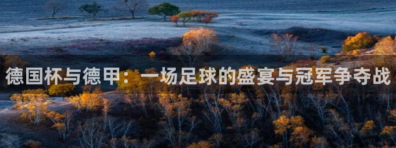 亚洲区世界杯预选赛：德国杯与德甲：一场足球的盛宴与冠军争夺战