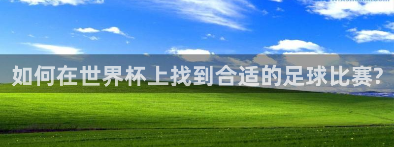 世界杯欧洲区世预赛赛程：如何在世界杯上找到合适的足球比赛?