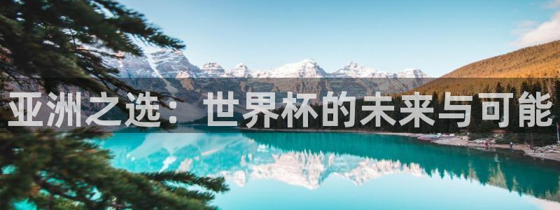世界杯赛程表：亚洲之选：世界杯的未来与可能
