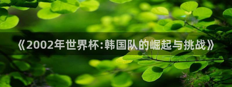 世界杯预选赛欧洲区赛程：《2002年世界杯:韩国队的崛起与挑战》